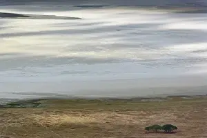 Pans: Sunlight patterns on salt pans, Ngorongoro