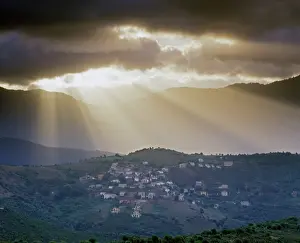 Sunrays: Sunrays