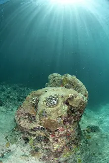 Sunrays: Sunrays over rock