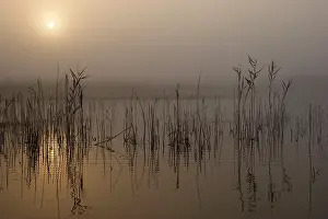 Strabrechtse: Sunrise over the Beuven fen, Strabrechtse Heide