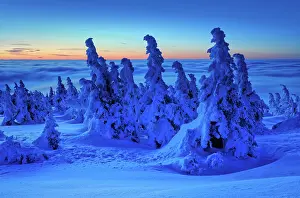 Brocken: Before sunrise on the Brocken in winter, dawn, above