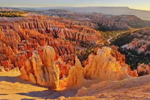 Gold: Sunrise at Bryce Canyon National Park, Utah