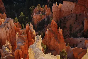 Gold: Sunrise at Bryce Canyon National Park, Utah