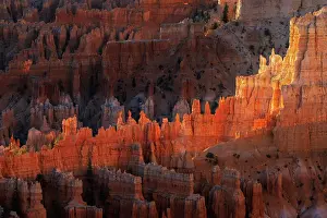 Gold: Sunrise at Bryce Canyon National Park, Utah