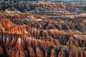 Gold: Sunrise at Bryce Canyon National Park, Utah
