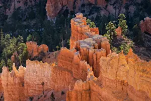 Gold: Sunrise at Bryce Canyon National Park, Utah