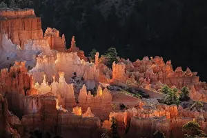 Gold: Sunrise at Bryce Canyon National Park, Utah