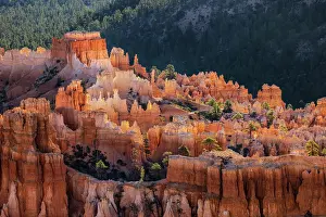 Gold: Sunrise at Bryce Canyon National Park, Utah