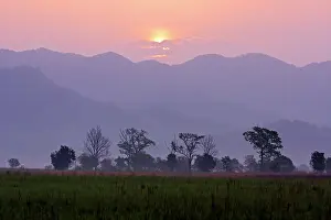 Foothill: Sunrise in Corbett National Park, Corbett