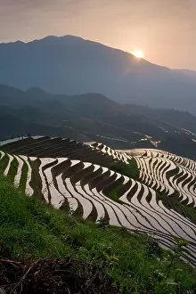 Backbone: Sunrise at Dragon's Backbone Rice Terraces