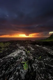 Reunion: Sunrise at Grand Brele, Piton de la Fournaise, Reunion