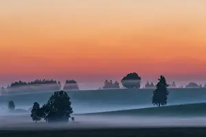 Allg: Sunrise with ground fog over Allg&, x4d60;hills