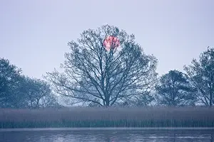 Broads: Sunrise over Hickling Broad - Norfolk UK