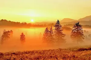 Daybreak: Sunrise High Moor Eigenried Zugerberg, Canton Zug