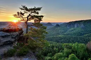 Kleiner: Sunrise at Kleiner Winterberg, pine on sandstone