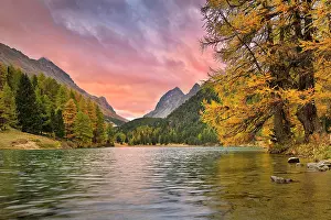 Albula: Sunrise at Lake Palpuogna in autumn, dramatic clouds