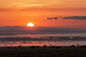 Humid: Sunrise over the Maasai Mara, Kenya, Africa