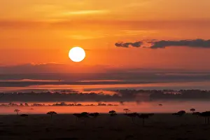 Humid: Sunrise over the Maasai Mara, Kenya, Africa