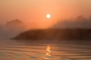 Reedbeds: Sunrise - over misty reedbeds and broad