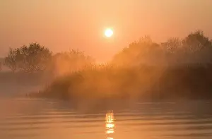 Reedbeds: Sunrise - over misty reedbeds and broad