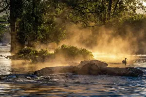 Dortmund: Sunrise and morning fog in the Ruhrauen near Echthauser