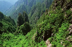 Huangshan: Sunrise over Mt Huangshan