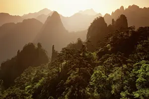 Huangshan: Sunrise over 'North Sea of CloudsI, Mt Huangshan