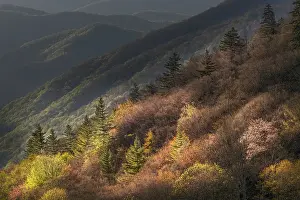 Great Smoky Mountain: Sunrise, Oconaluftee Valley, Great Smoky Mountains National