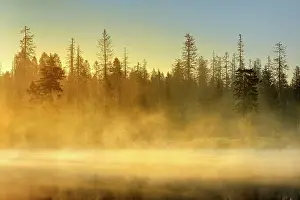 Harz: Sunrise at the Oder pond with morning mist, natural