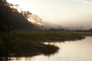 Oxbow: Sunrise on an oxbow lake in the middle of the rainforest