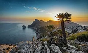 Balearic: Sunrise, palm in front of Cap Formentor, Port de