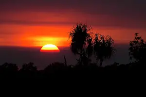 Aboriginal: Sunrise - at Peppimenarti Aboriginal Community -
