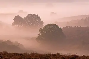 Scots: Sunrise at the Posbank. With this picture I won the first prize in a Dutch landscape photography contest