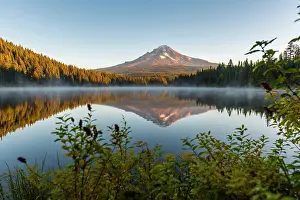 Hood: Sunrise, reflection of the volcano Mt. Hood in Lake