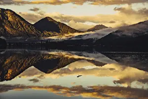 Tyrol: Sunrise with reflections and alpenglow in Lake Heiterwanger See in Tyrol in the Alps in Austria
