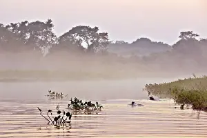 Cuiaba: Sunrise River Cuiaba Black channel Pantanal area