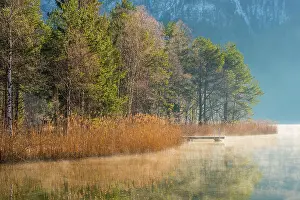 Ostallgaeu: Sunrise at Schwansee, near Hohenschwangau, Romantic