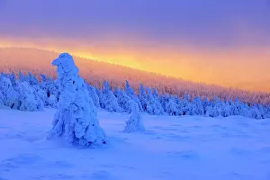 Brocken: Sunrise on the summit of the Brocken, deep snow-covered