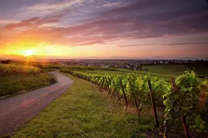 Surrounding: Sunrise over vineyards surrounding Zellenberg