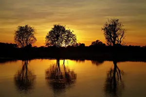 Billabong: Sunrise, Yellow Water Billabong, Kakadu