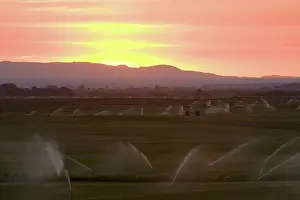 Irrigation: Sunset