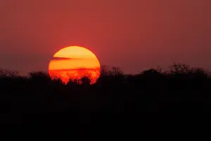 310122: Sunset sometimes in Africa reserve evotional moments