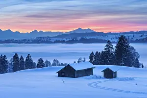 Misty: Sunset in the Allgau in winter