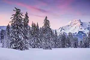 Confederation: Sunset, Alp Sellamatt, Switzerland, Europe