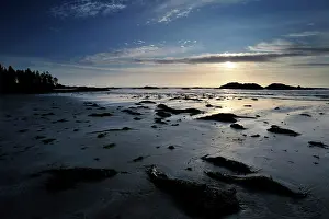 Tofino: Sunset at beach