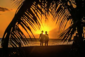 Overseas: Sunset on the beach under palm trees by the sea