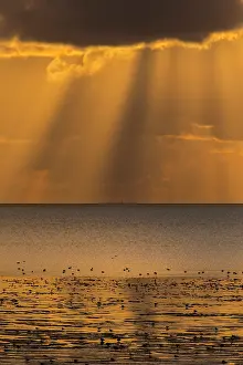 Sunrays: Sunset with clouds and sunrays at the Waddensea at low tide