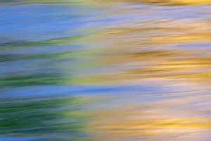 Teton: Sunset colors and trees reflecting on Snake River