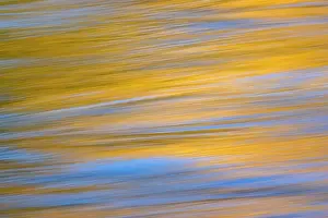 Teton: Sunset colors and trees reflecting on Snake River