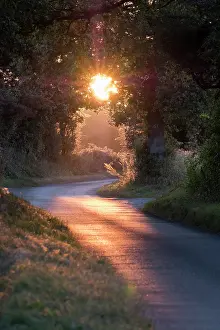 050221: Sunset in country lane - Norfolk UK